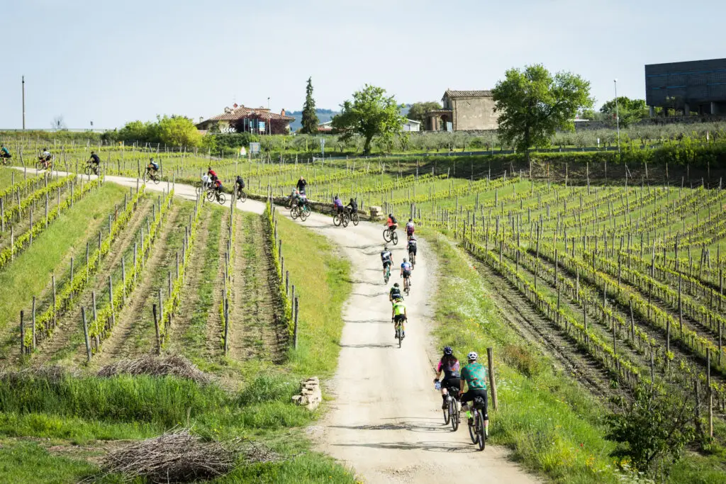 strade bianche toscana ciclisti gravel